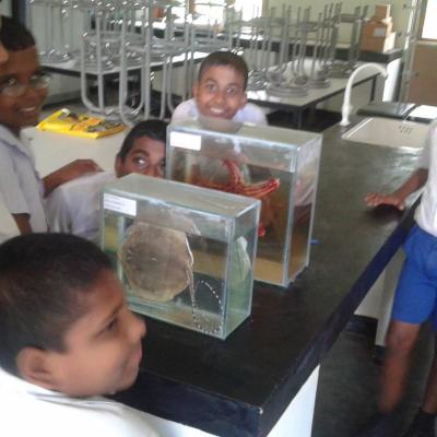 අපේ විද්‍යාගාරයේ සජීවී නිදර්ශක